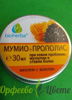 ЛЕЧЕБНИ МАЗИЛА РАЗШИРЕНИ ВЕНИ БИОХЕРБА МЕХЛЕМ С МУМИО И ПРОПОЛИС 30мл